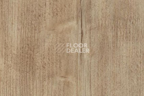 Виниловая плитка ПВХ FORBO Allura Wood 60082DR7-60082DR5 natural rustic pine фото 1 | FLOORDEALER